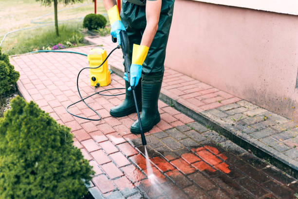 Best Pressure Washing Siding  in Redington Shores, FL