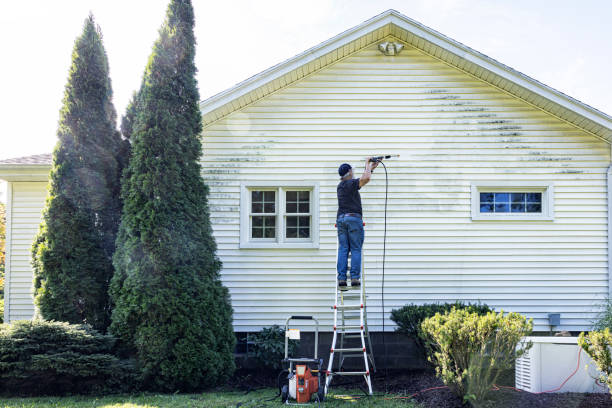 Best Roof Power Washing Services  in Redington Shores, FL