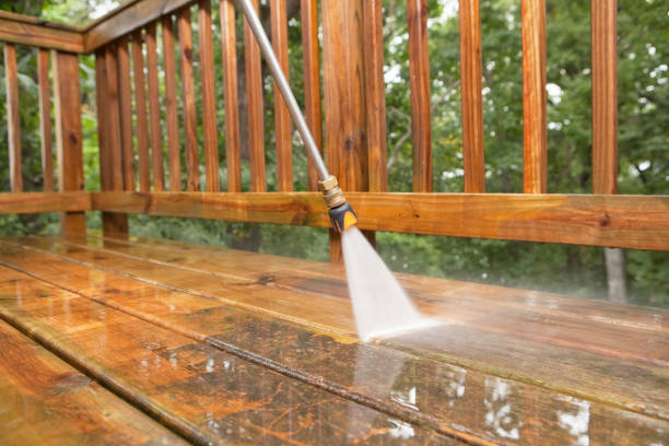 Professional Pressure Washing in Redington Shores, FL