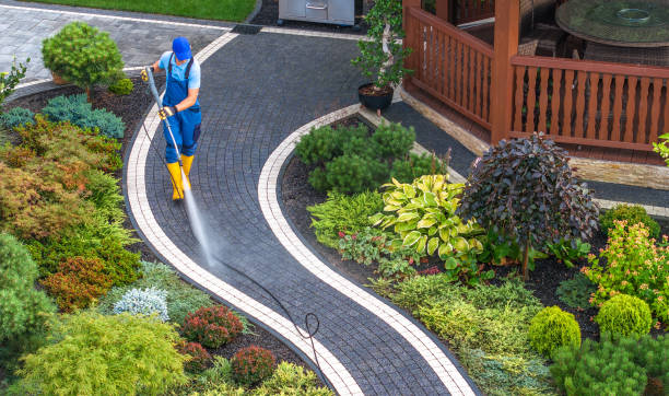Best House Pressure Washing  in Redington Shores, FL
