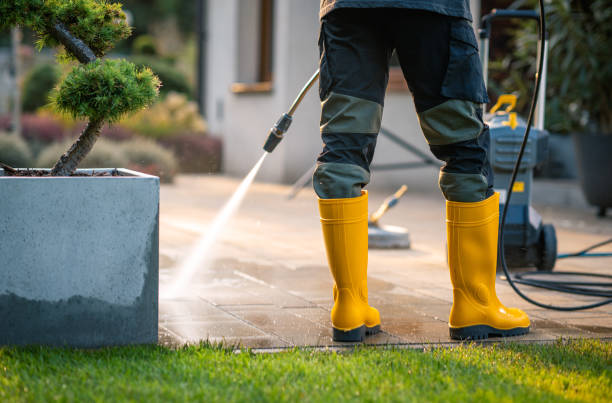 Best Power Washing Near Me  in Redington Shores, FL